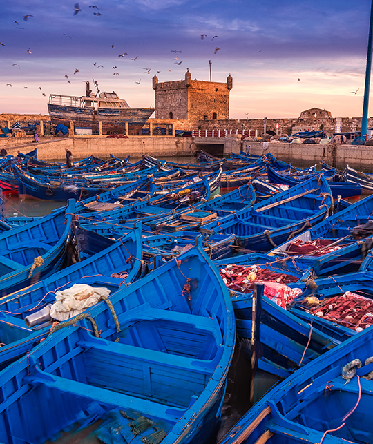  Hamnen i Essaouira