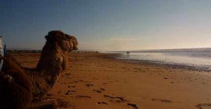 Sidi-Kaouki-1.jpg
