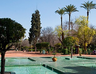 Upptäck marockanska trädgårdar