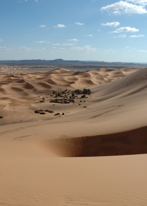 Największa oaza na świecie znajduje się w Maroku.