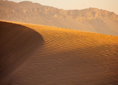sand of the Moroccan sahara and beautiful landscape