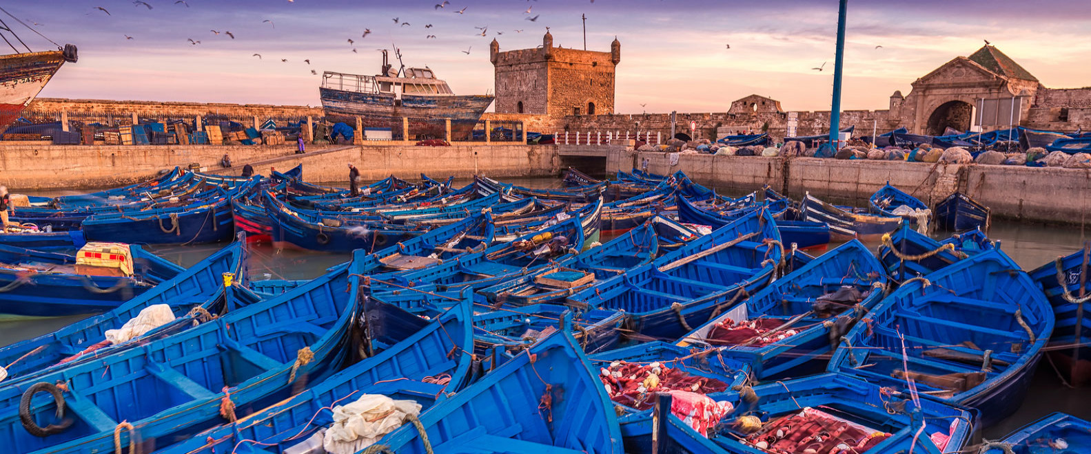Essaouira-Mogador, una bellezza selvaggia | Ufficio Nazionale Marocchino del Turismo