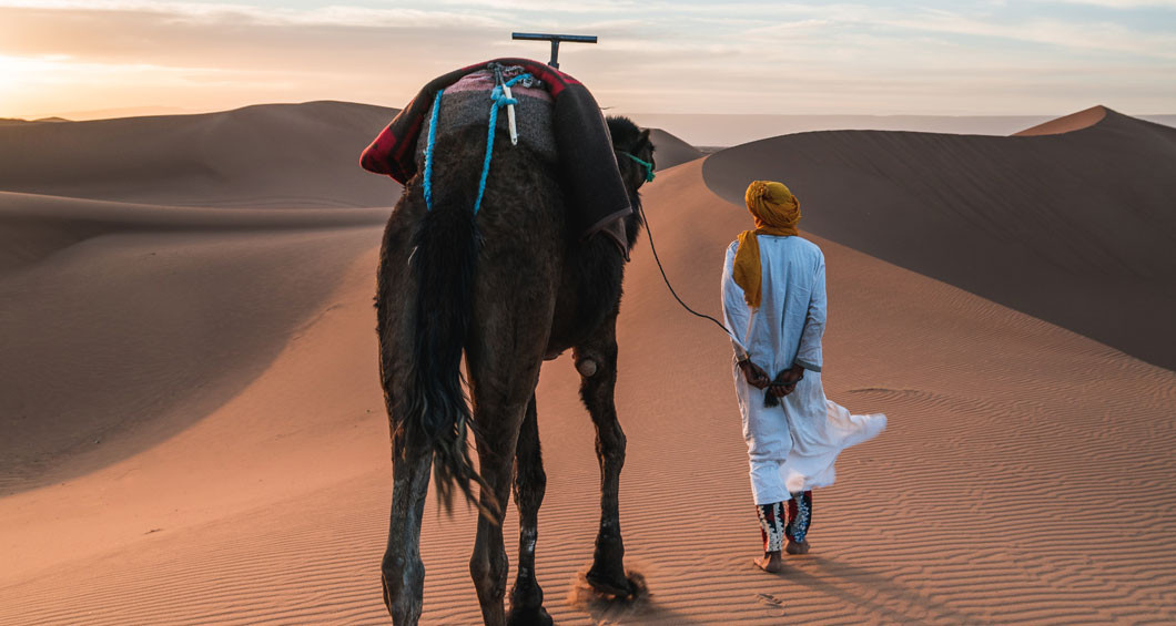 Promenade naar het chameau 