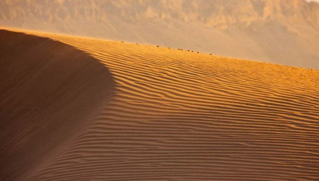 zagora dune and beautiful sun tourism in morocco