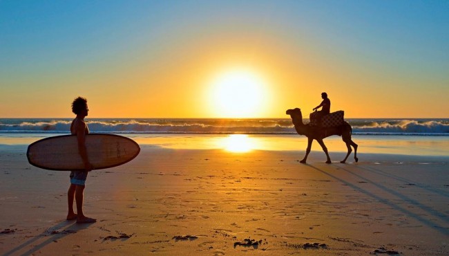 Surfers look for the best waves in morocco