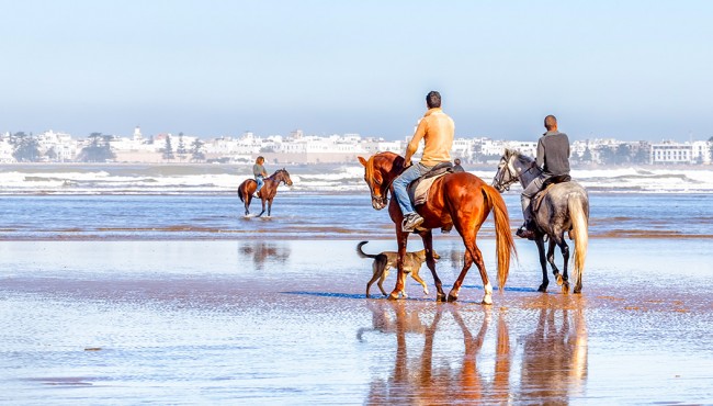 riding a horse in the beach of agadir tourism in morocco