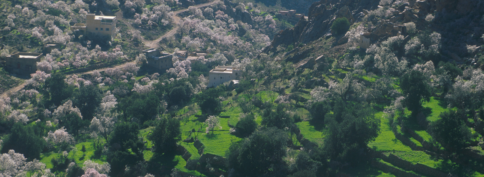 La richesse naturelle d'Agadir