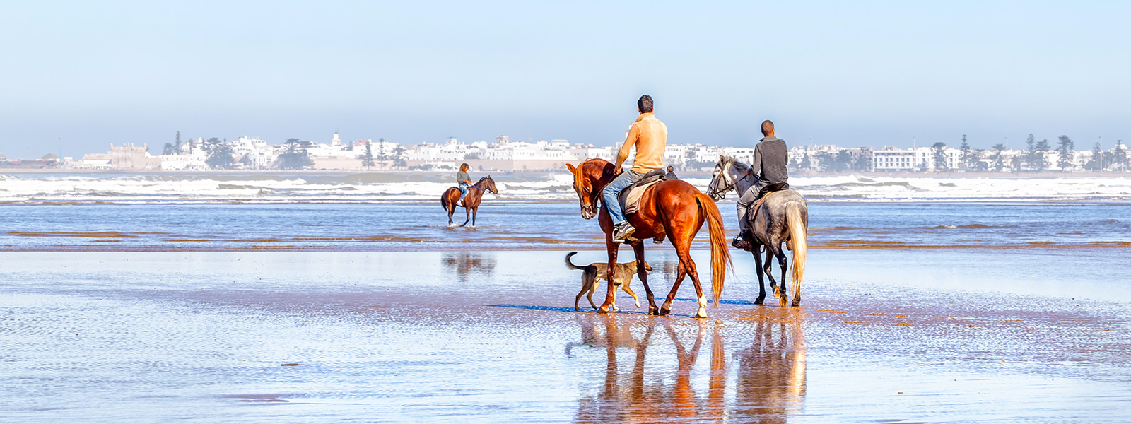 riding a horse in the beach of agadir tourism in morocco