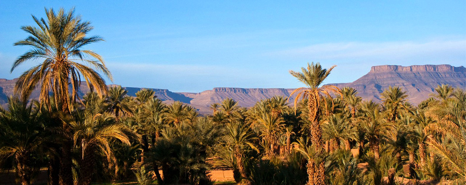 Taroudant, pequeno Marrakech