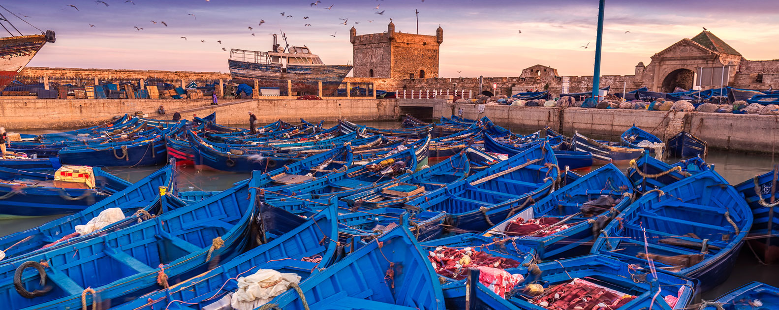 Essaouira-Mogador, salvaje belleza