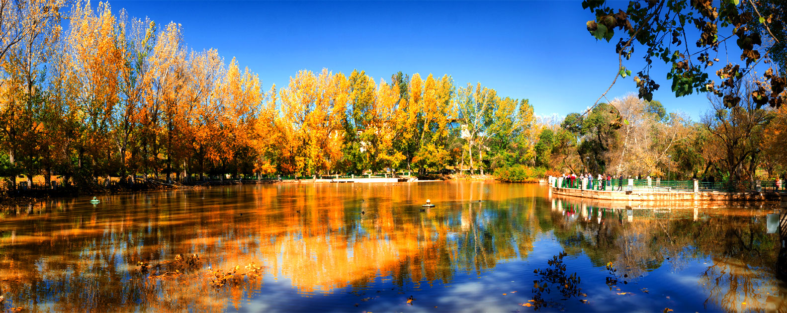Ifrane, um cenário verde