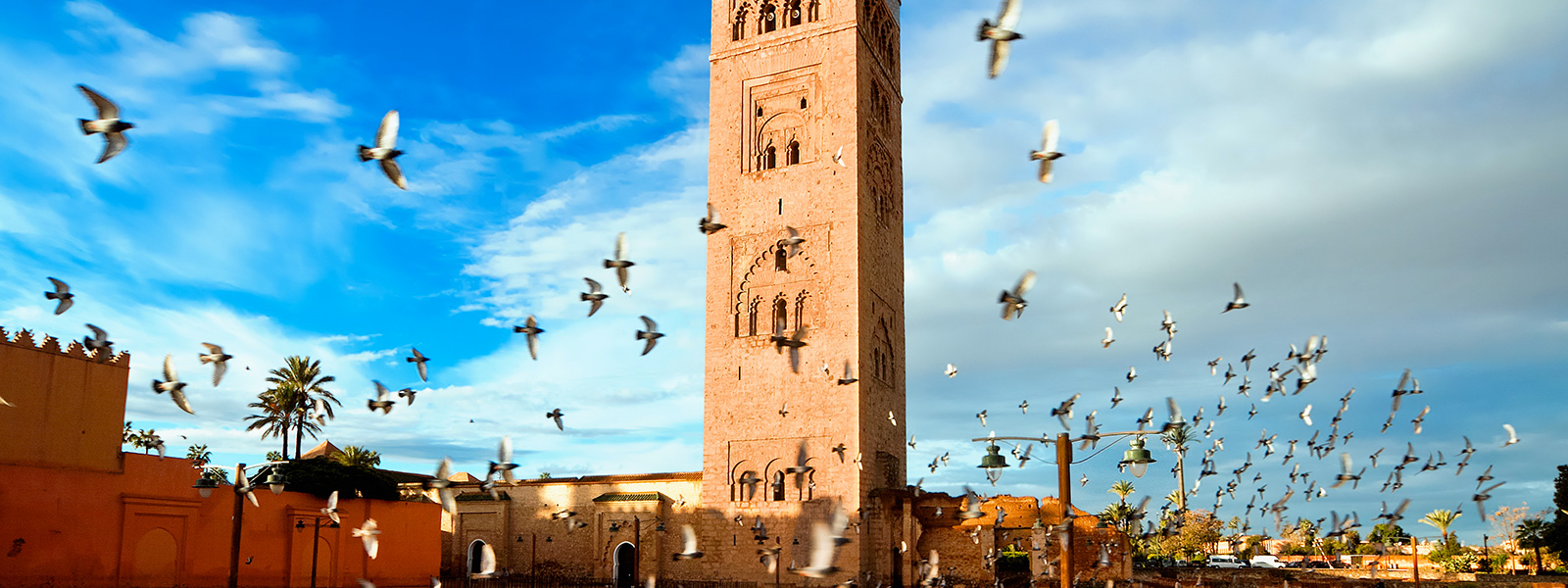 marrakesh1.jpg