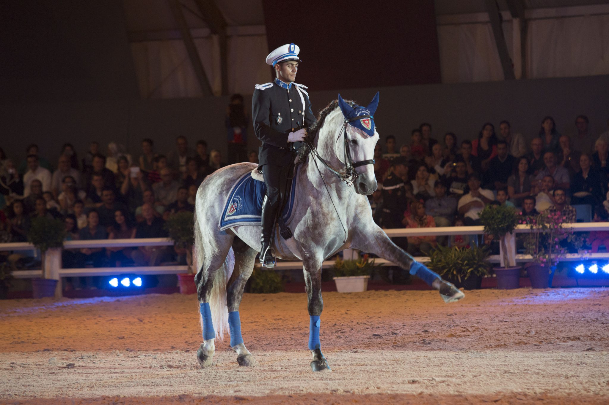 Le Salon Du Cheval d'El Jadida